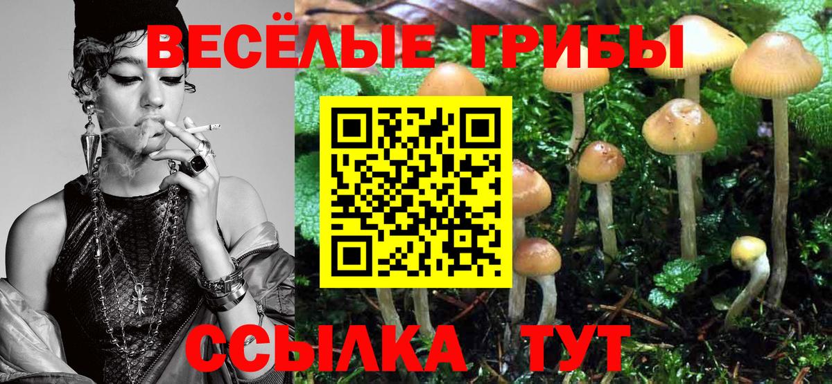 Галлюциногенные грибы прущие грибы Клин