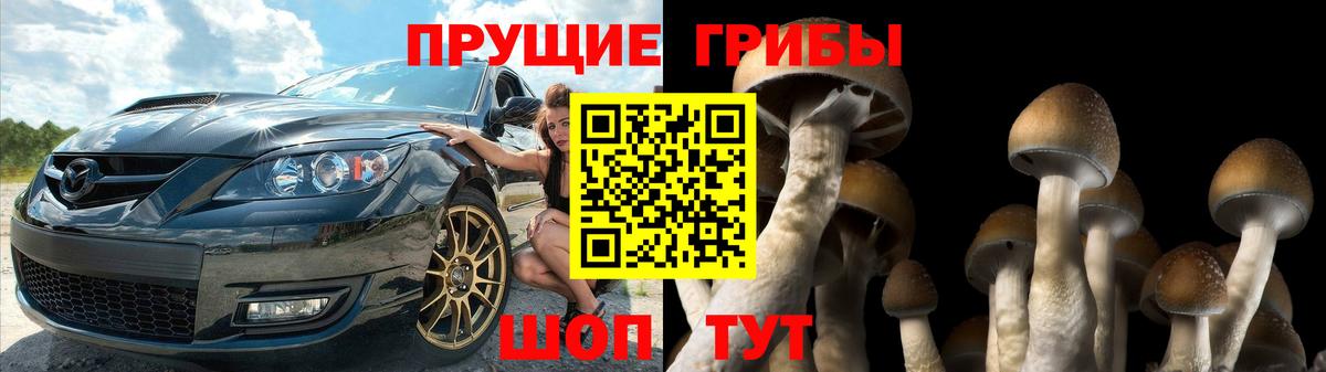 Клин  закладка  Вход с VPN  Псилоцибиновые грибы мухоморы 