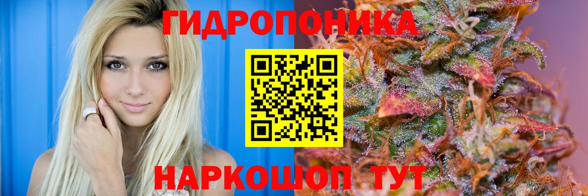 МАРИХУАНА план Клин